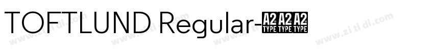 TOFTLUND Regular字体转换